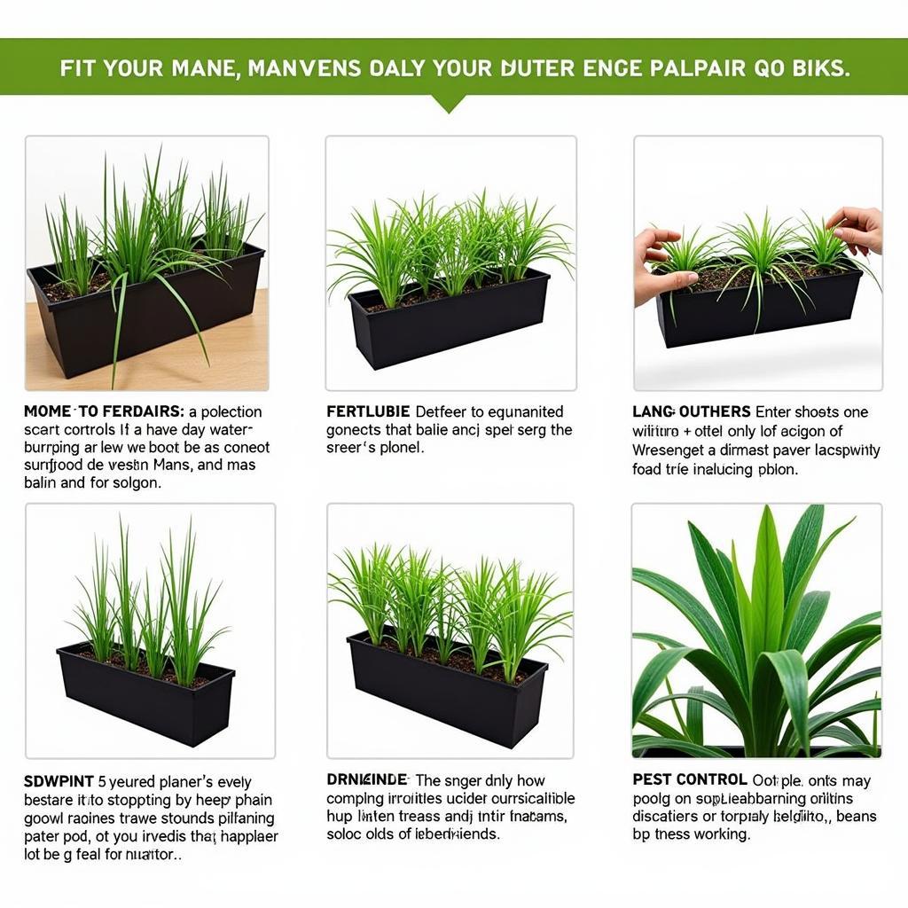 Essential Maintenance Tips for a 4 Planter Box