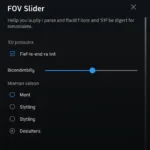 In-Game FOV Settings