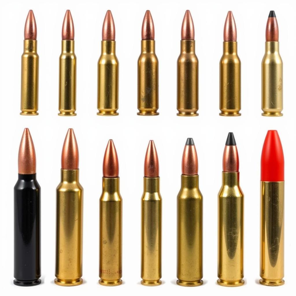 Various Ammo 18 Cartridges