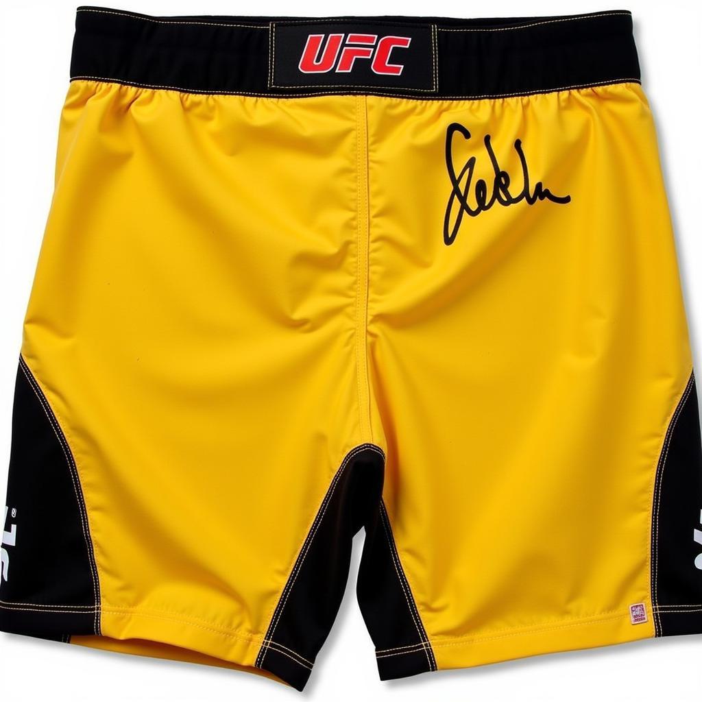 Anderson Silva Fight-Worn and Signed Shorts