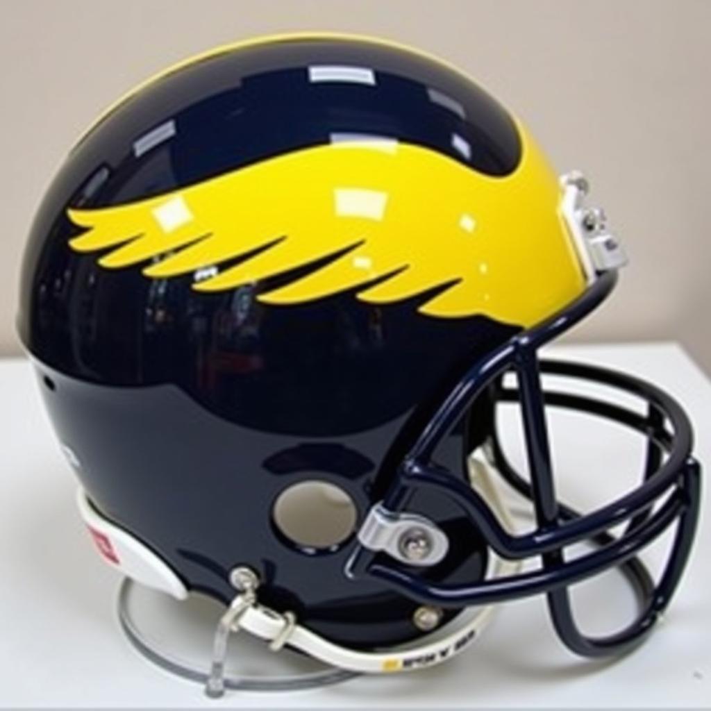 Authentic Michigan Wolverines Football Helmet