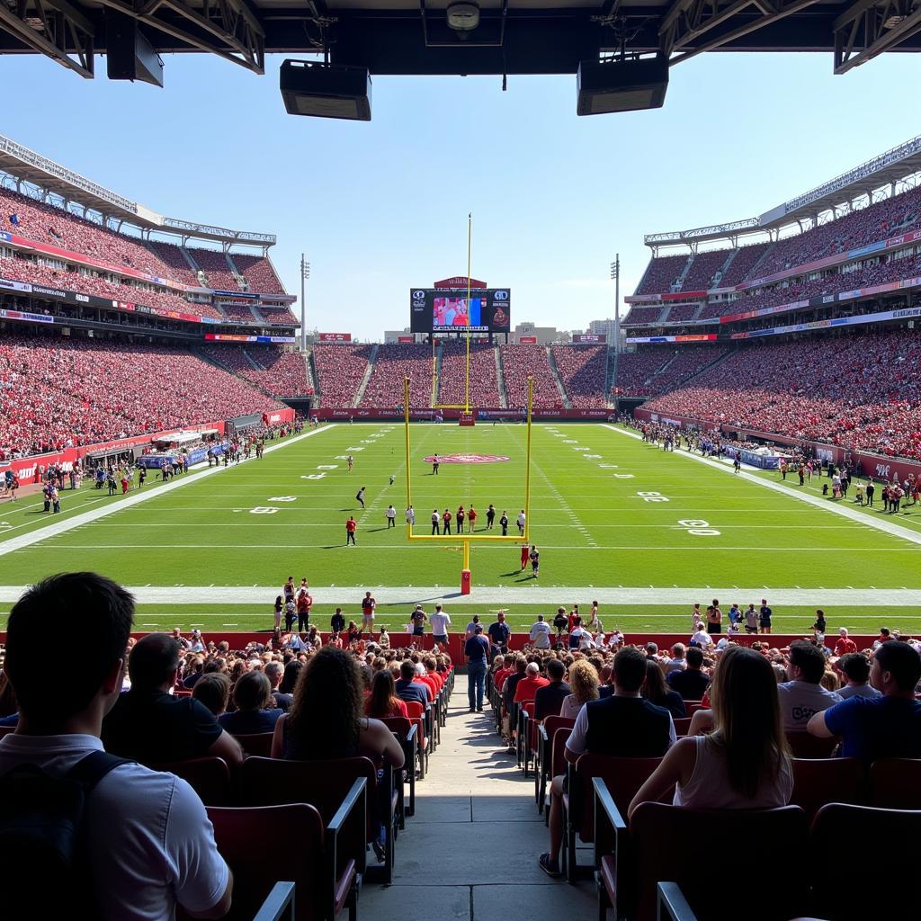 Best Seats at Davis Wade Stadium - Lower Level Sideline View