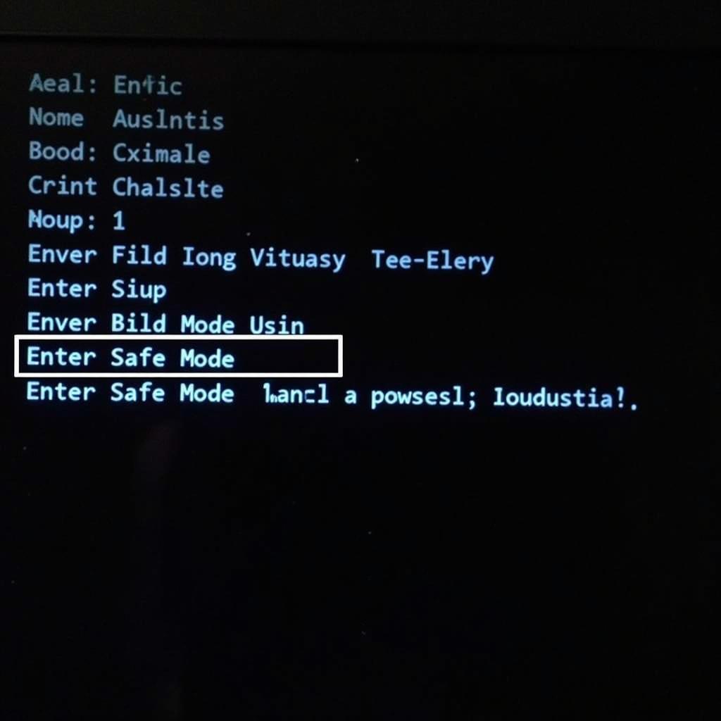 Accessing Safe Mode Options on a Computer