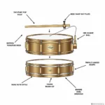 Anatomy of a Bronze Snare Drum