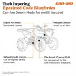 Can-Am Drown Mode Explained