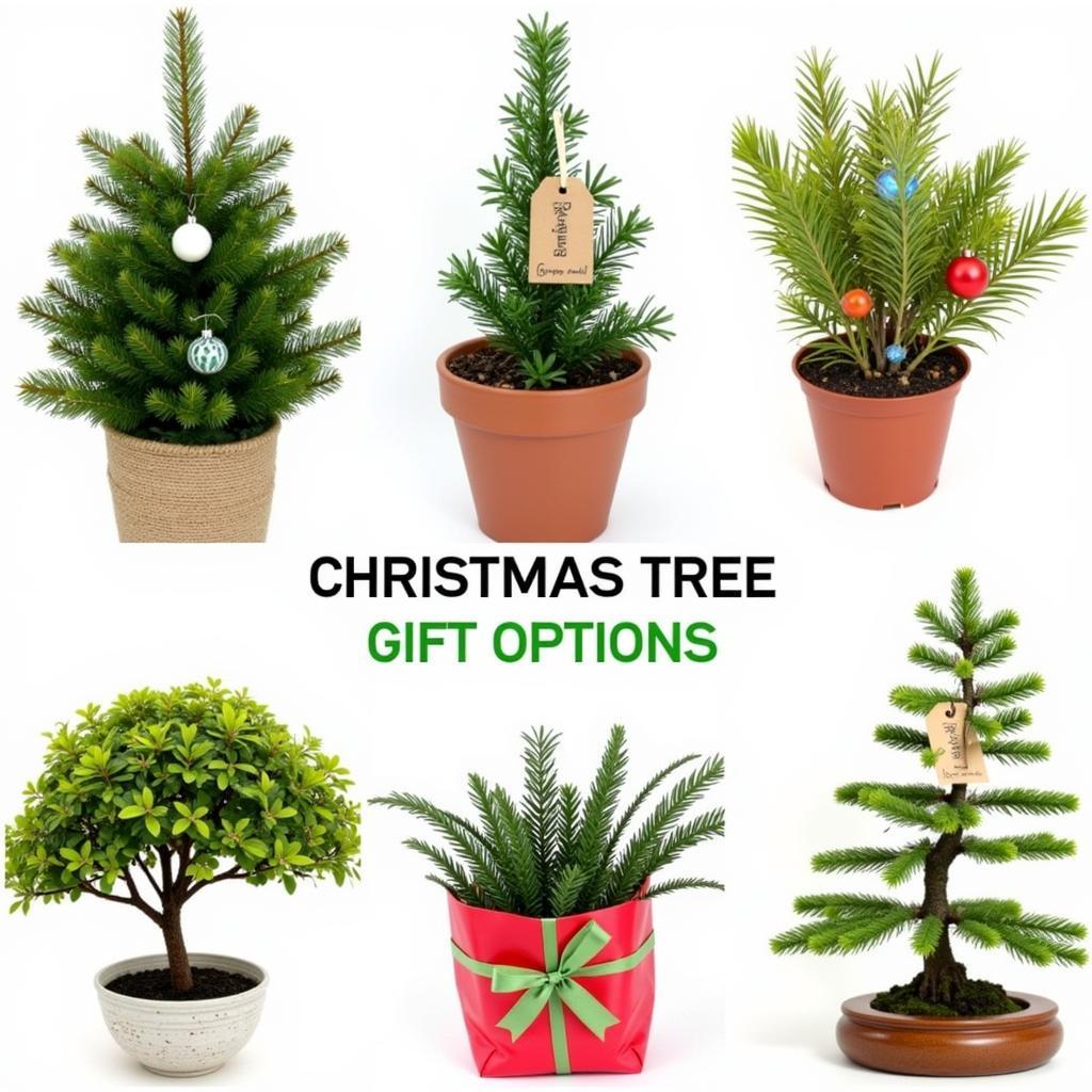 Christmas tree gift ideas