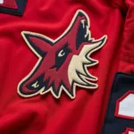 Authentic Old Coyotes Jersey Details