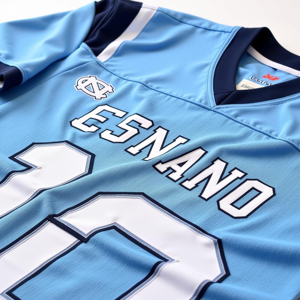 Custom UNC Football Jersey Details