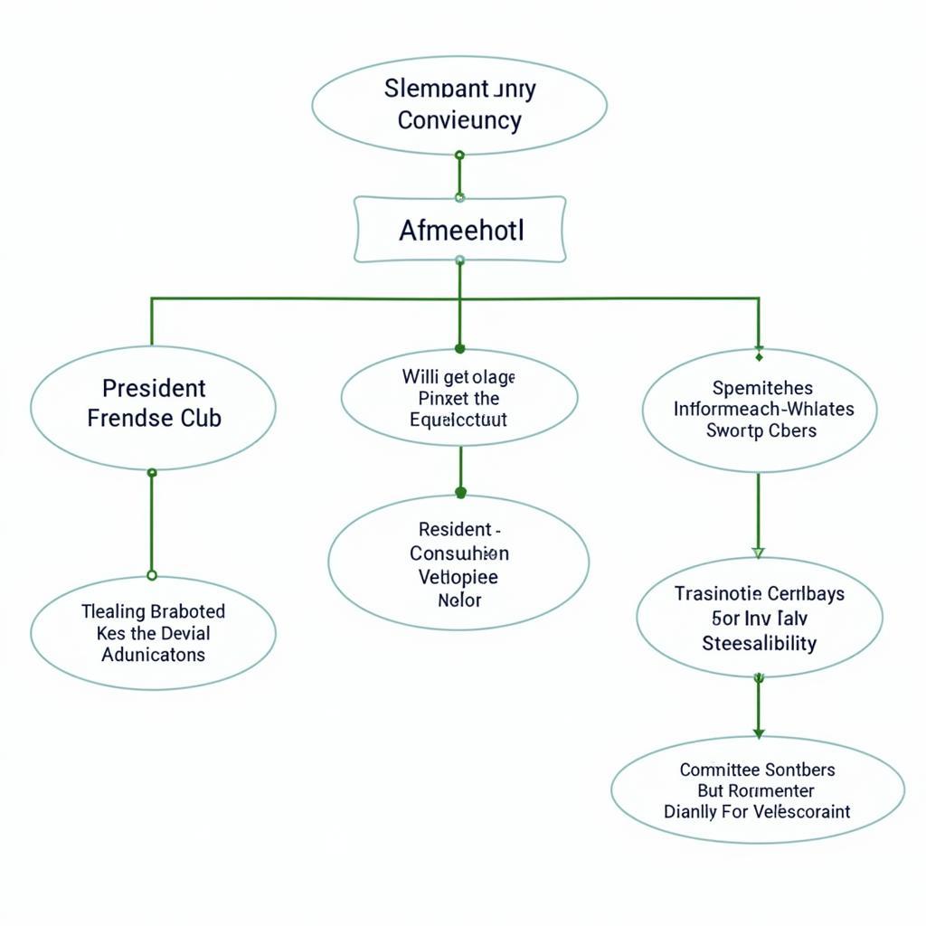 Establishing a clear structure and governance for a membership club