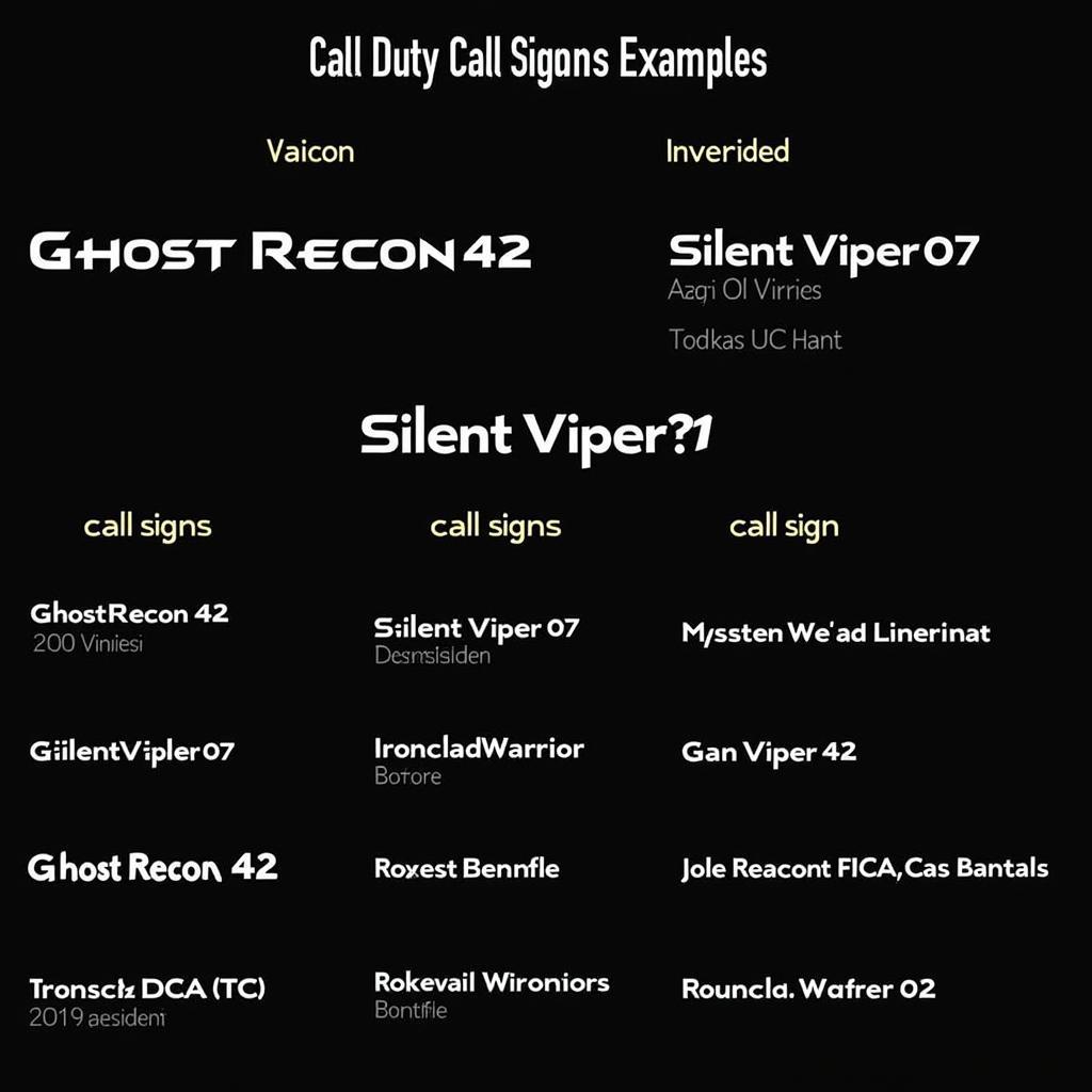 Call of Duty Call Sign Examples