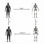 3D model convert skeleton process