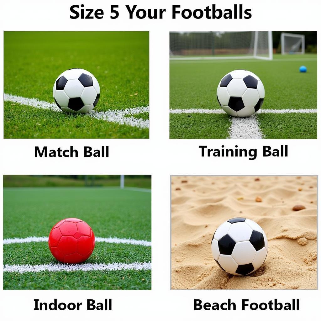 Different Types of Size 5 Footballs