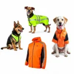 Variety of Dog Sportswear