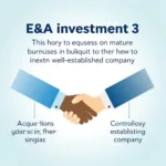 E&A investments involve acquiring controlling stakes in mature companies.