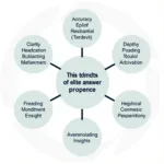 Characteristics of an Elite Answer