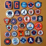 Showcasing your Collection