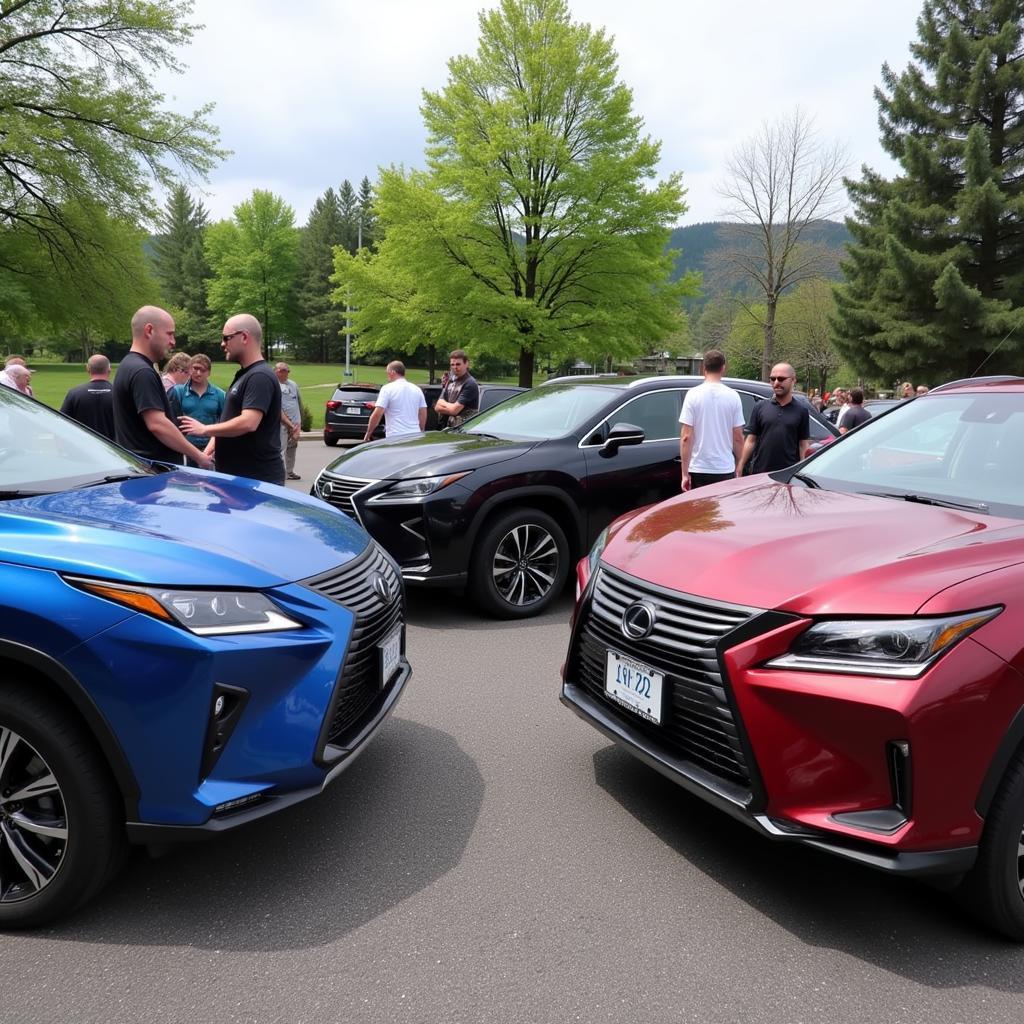 Lexus RX Owners Sharing Experiences