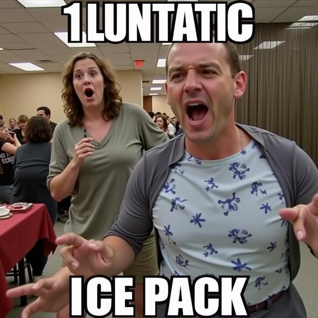 Example of a "1 Lunatic 1 Ice Pack" meme