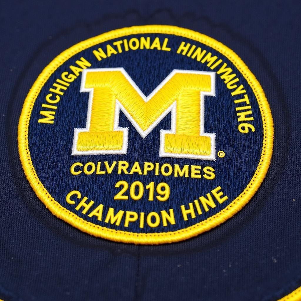 Michigan National Championship Patch Close Up