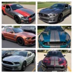 Types of Mustang Wraps