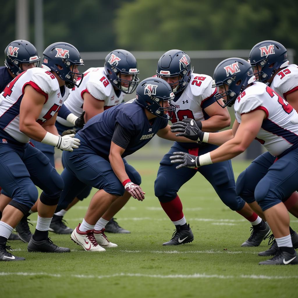 Old Dominion Monarchs Defensive Strategy