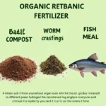 Various organic fertilizer options for basil plants