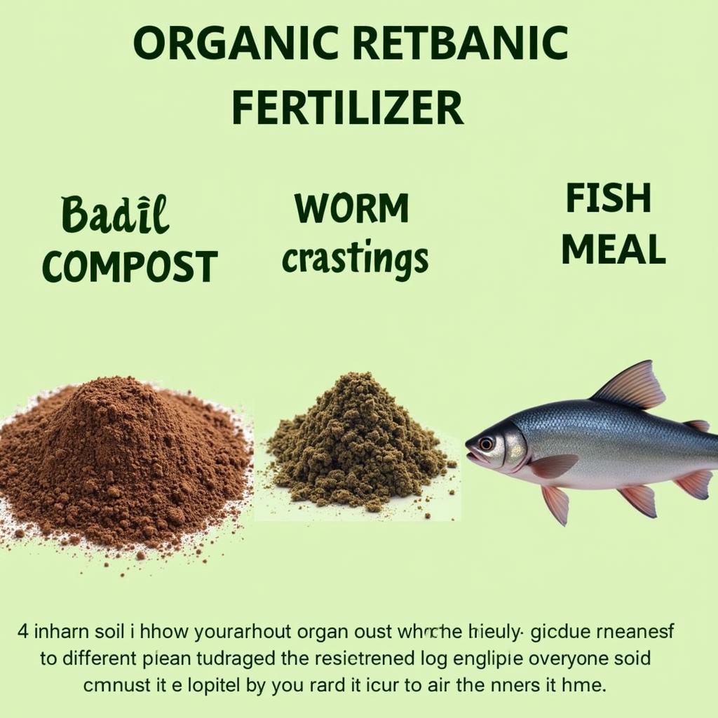 Various organic fertilizer options for basil plants