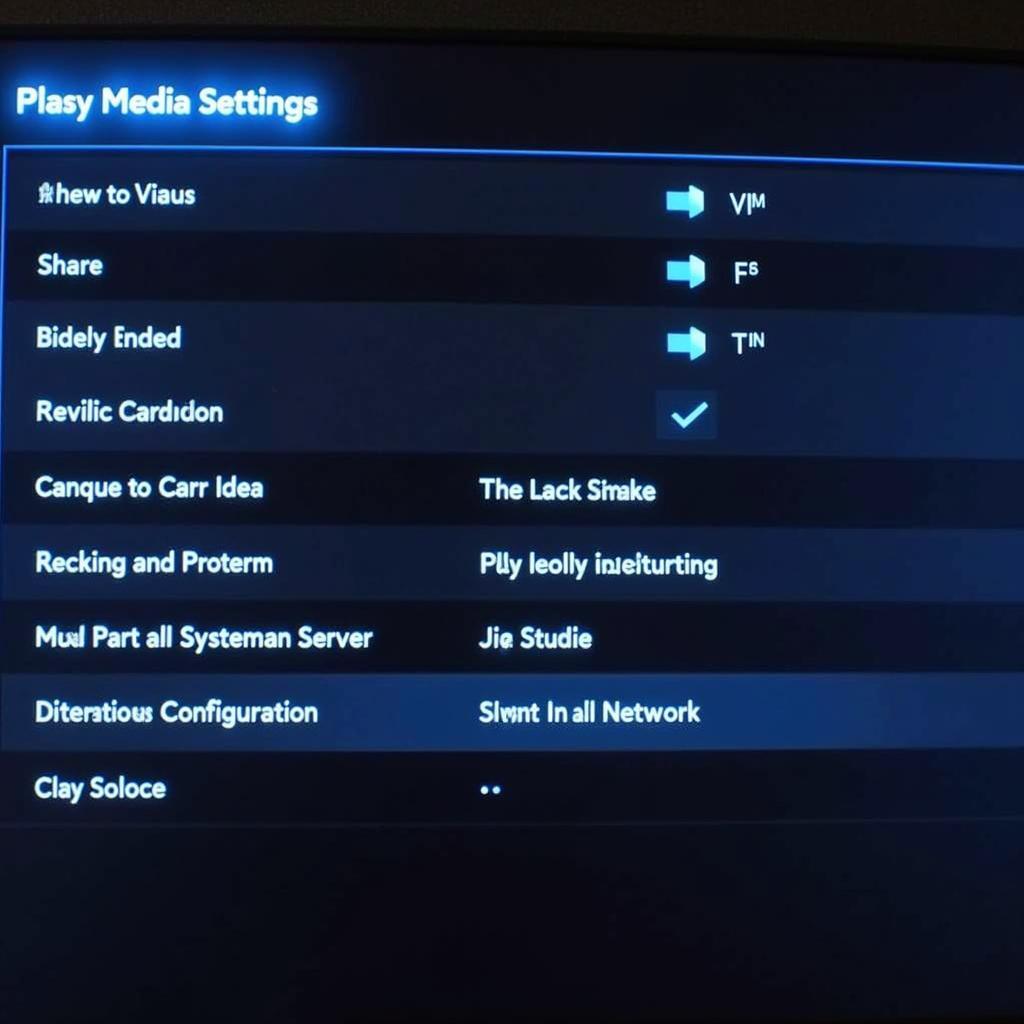 PS3 Media Server Settings