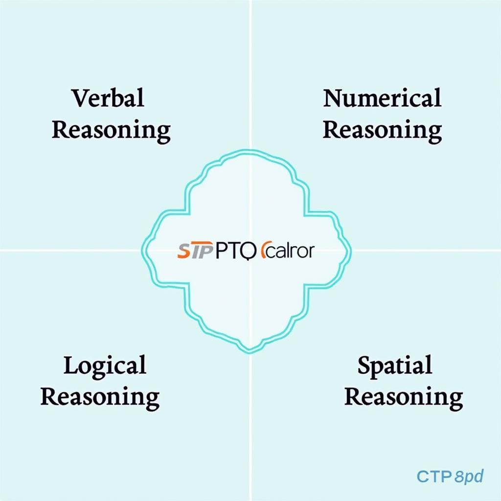 PTS Test Format