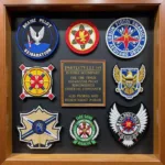 Collection of Rebel Pilot Patches