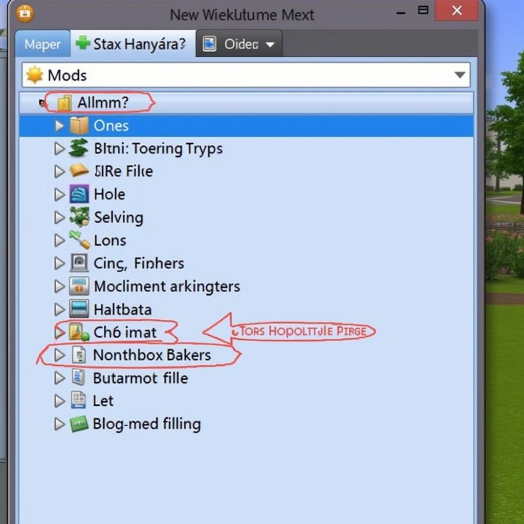 Managing Mods in The Sims 3