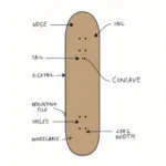 Skateboard Deck Anatomy