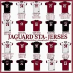 South Alabama Jaguars Football Jersey Evolution Through the Years