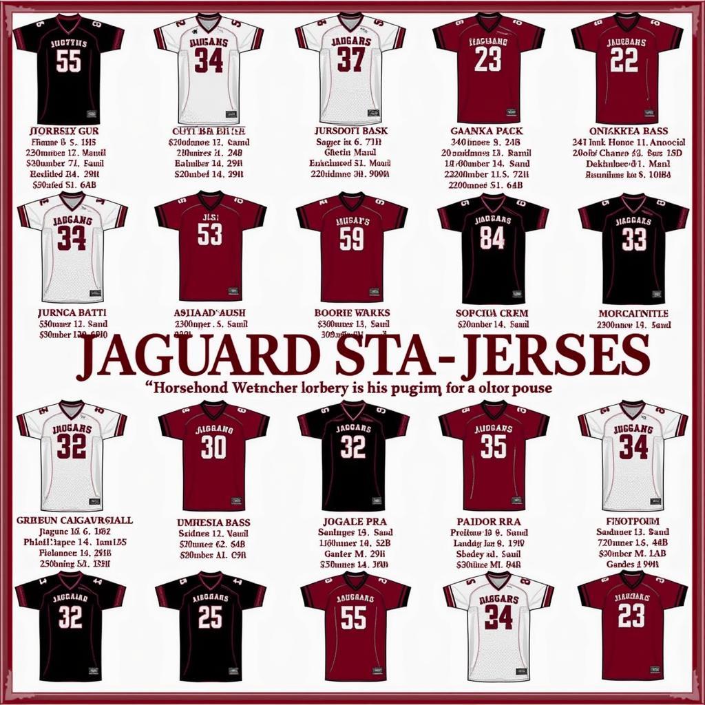 South Alabama Jaguars Football Jersey Evolution Through the Years