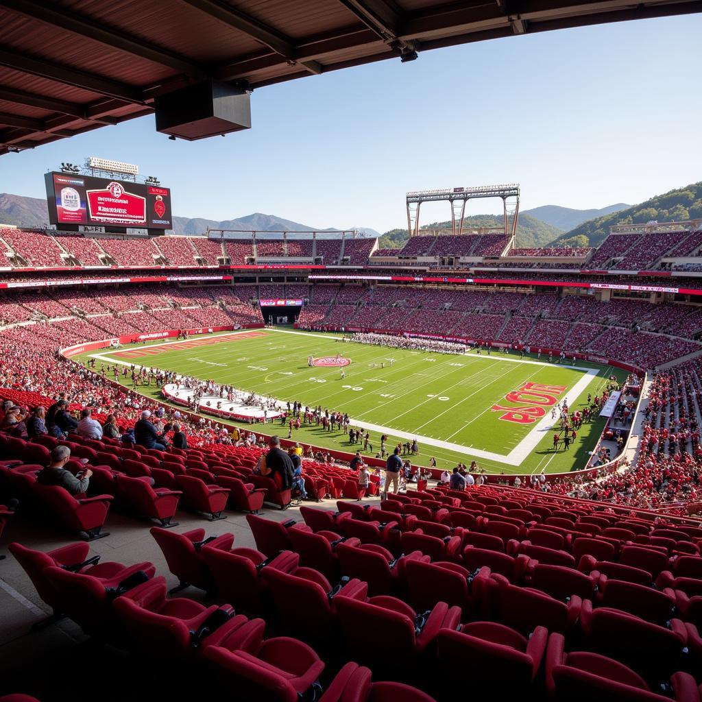 Stanford Stadium Premium Seating View