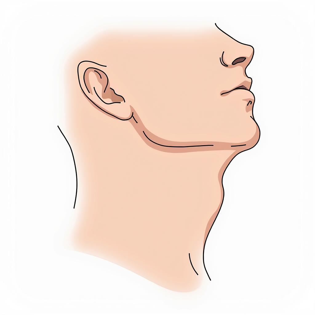 Strong Jawline PNG Vector Image for Graphic Design