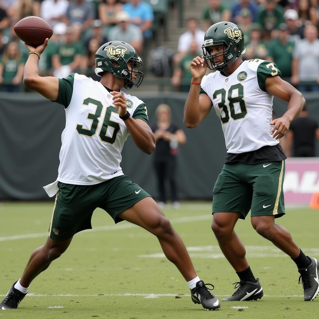 USF Quarterback Competition