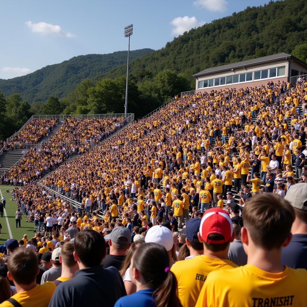 Enthusiastic high school football fans cheering in the stands