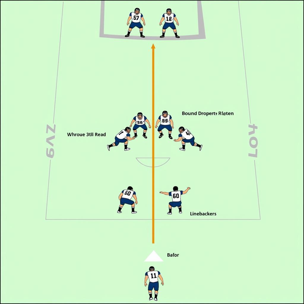 5-1 Defense Formation in Football