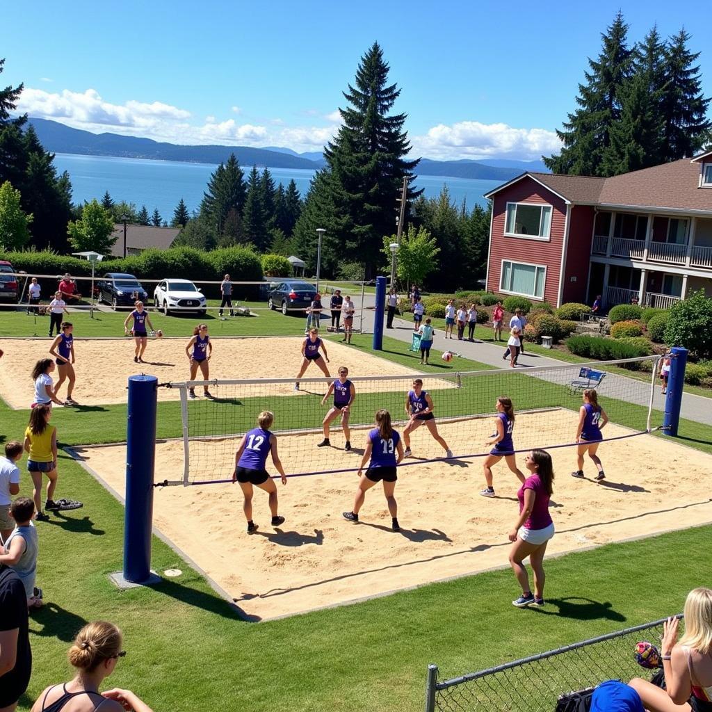 Bellingham Volleyball Leagues and Tournaments