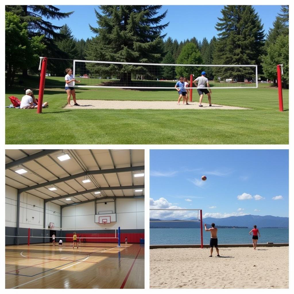 Bellingham Volleyball Locations: Parks and Recreation Centers