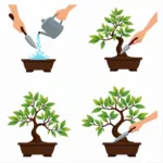 Black Cherry Bonsai Care Guide