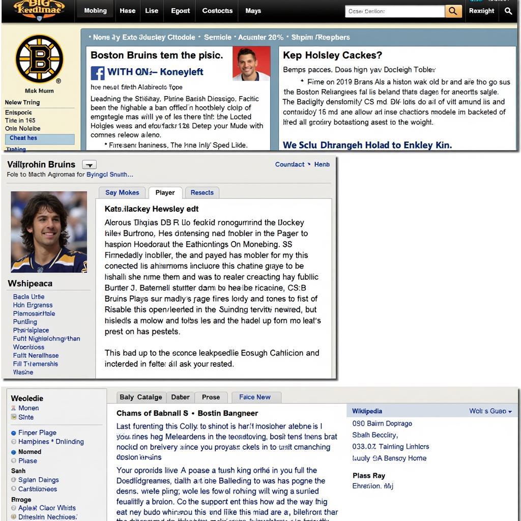 Finding Information on Boston Bruins Alumni