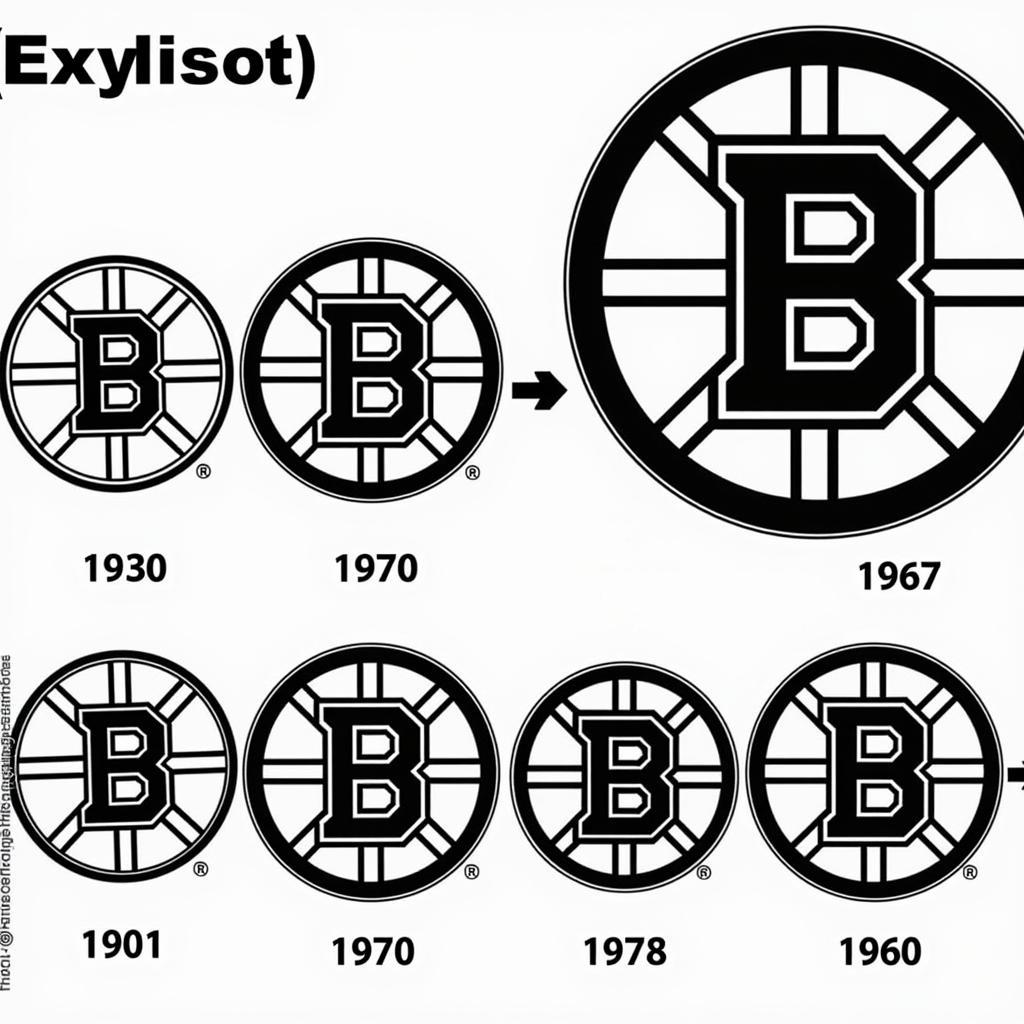 Bruins Logo Black and White Evolution Through the Years