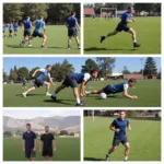 Cadets Engaging in Physical Training