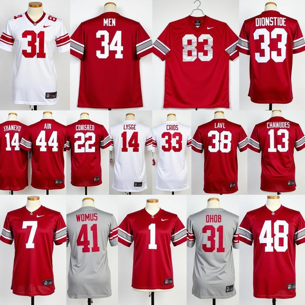 Classic Ohio State Game Day Jerseys