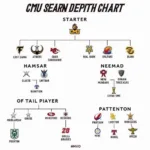 Example of a CMU Depth Chart