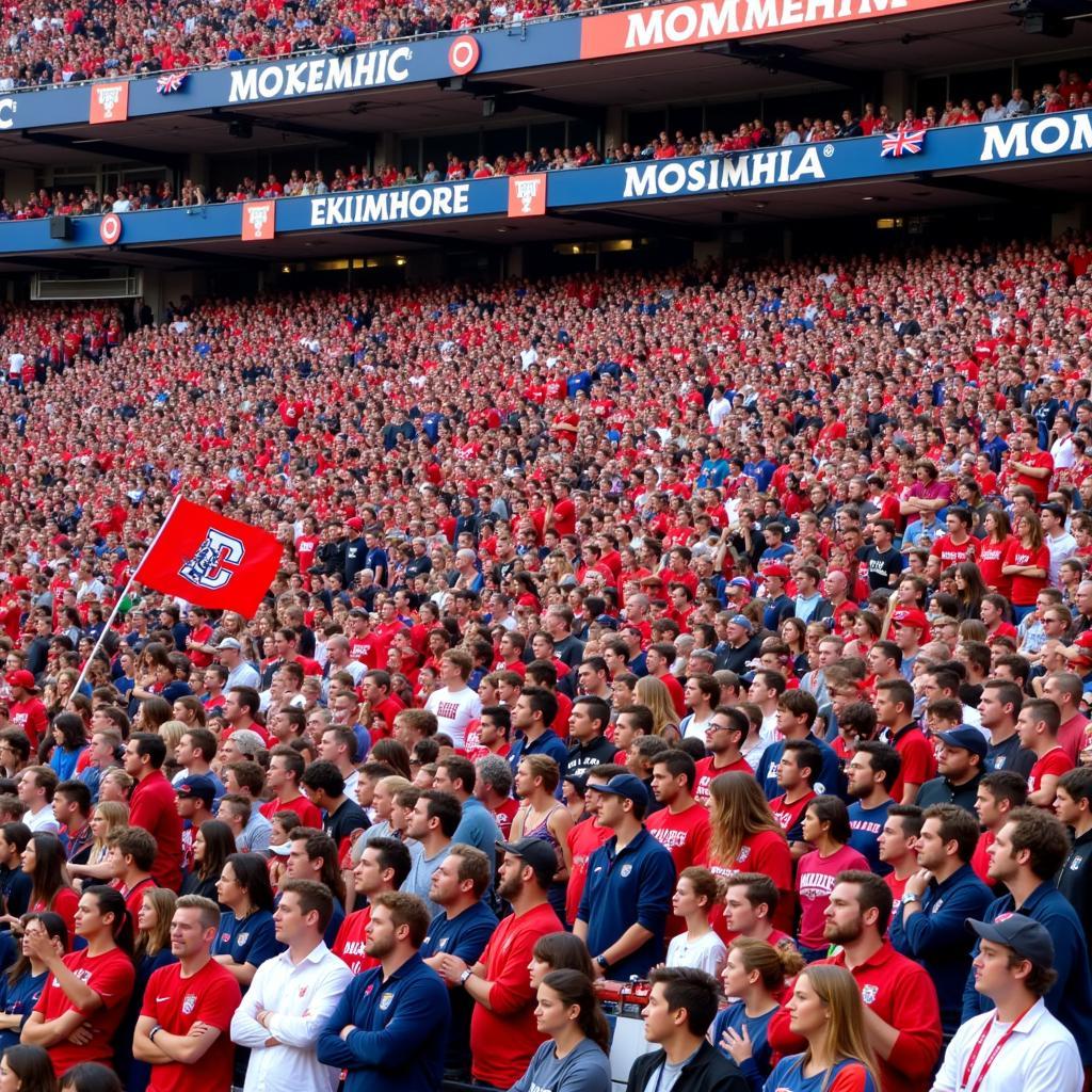 Football fans showing off their college colors during a game