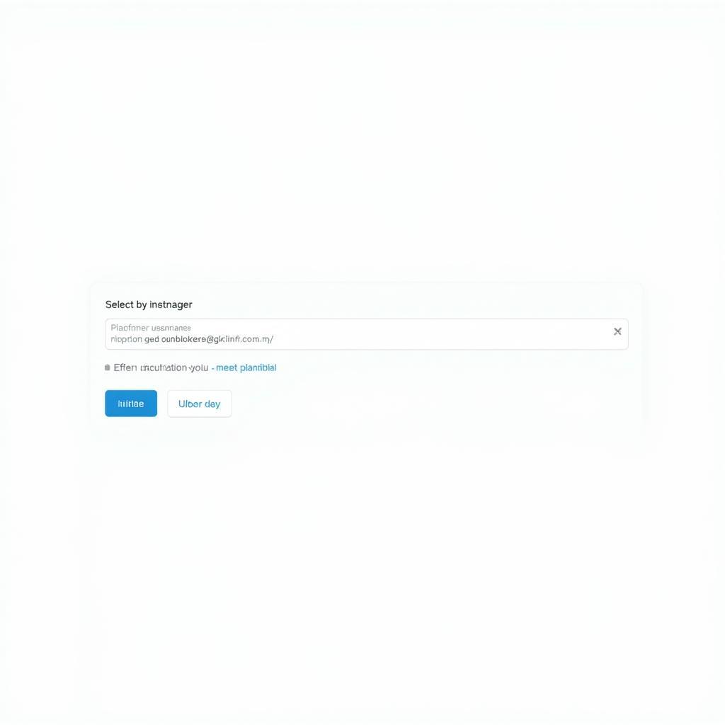 DM Unblocker Interface