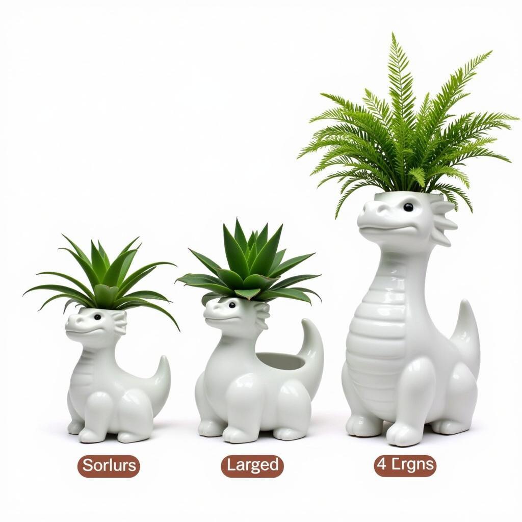 Dragon Planter Size Comparison